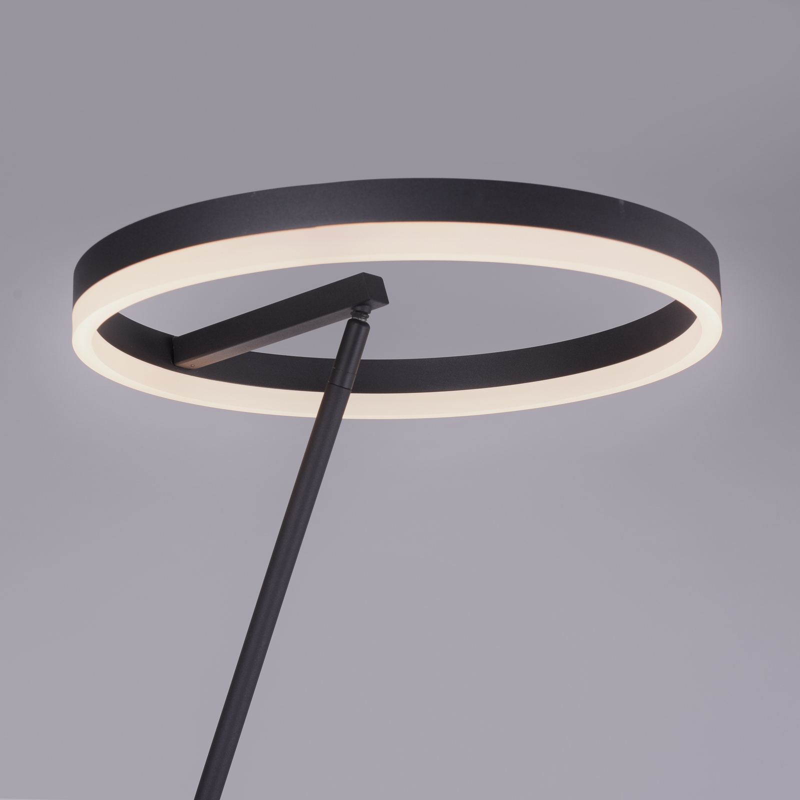 Paul Neuhaus Titus LED podna svjetiljka antracit dimmer