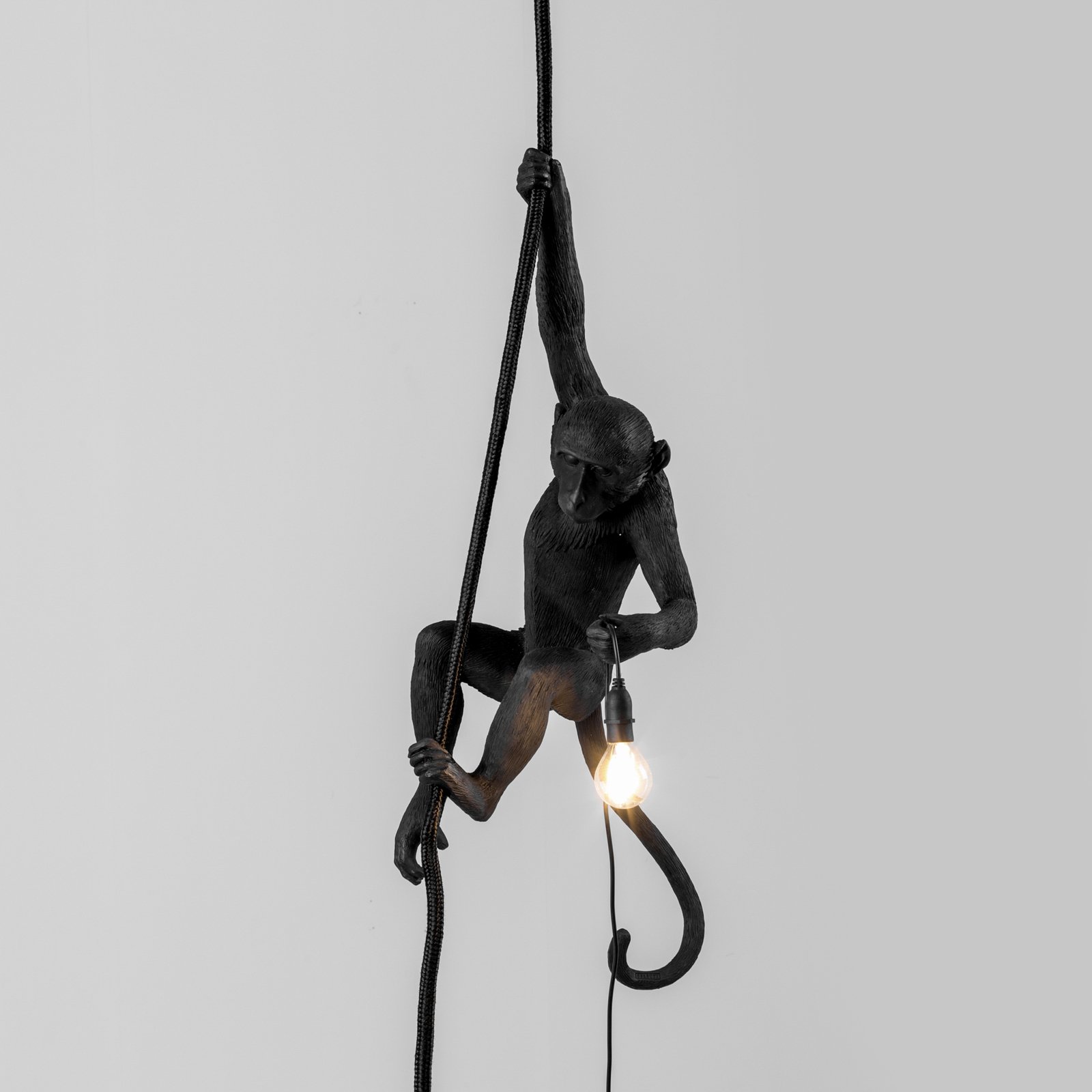 Monkey With Rope Outdoor Pendant Black - Seletti