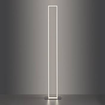 Paul Neuhaus Q-KAAN LED-gulvlampe, fjernbetjenes