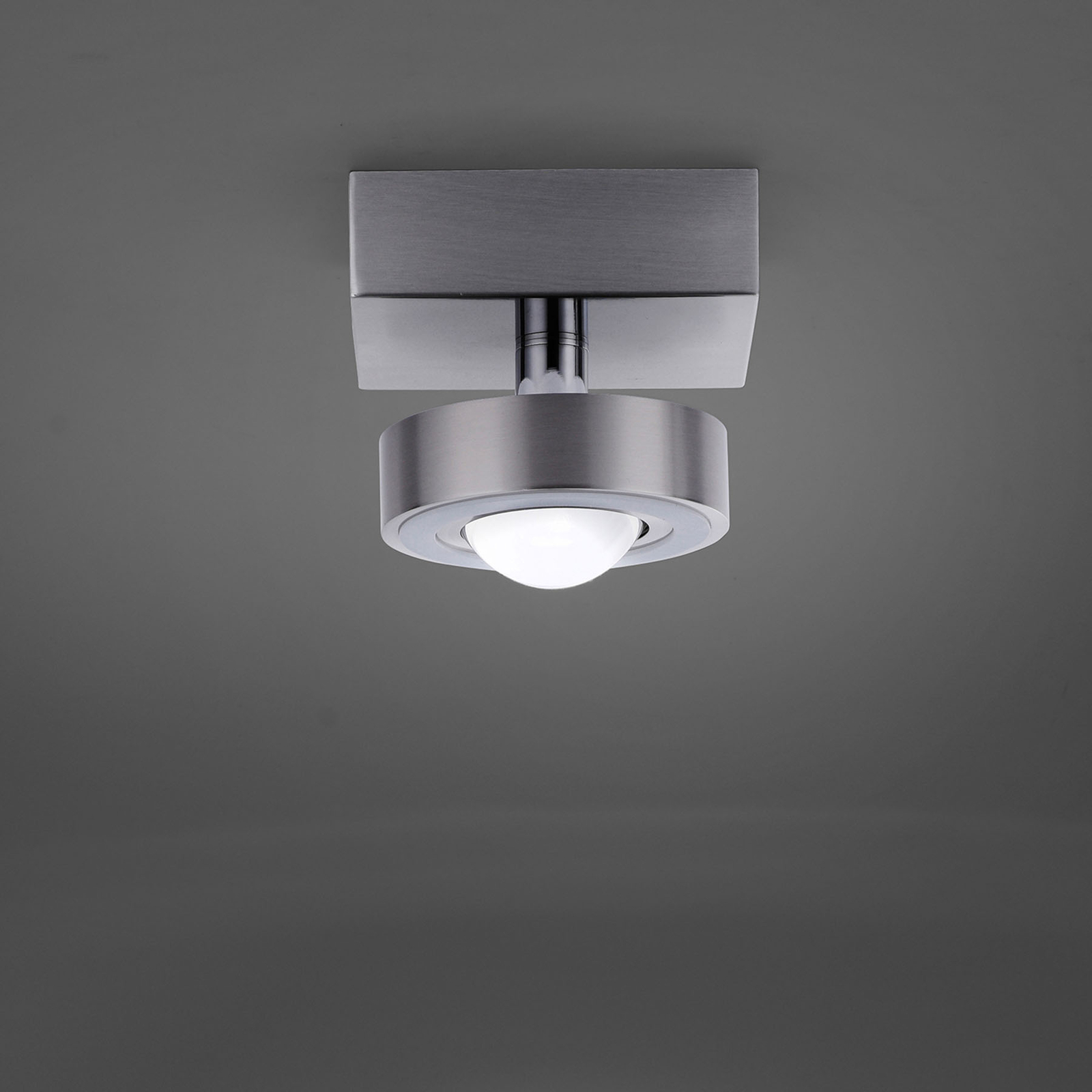 Paul Neuhaus Q MIA LED Deckenleuchte stahl Paul Neuhaus Q MIA LED Deckenleuchte stahl