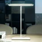 Flat Dublight LED table lamp