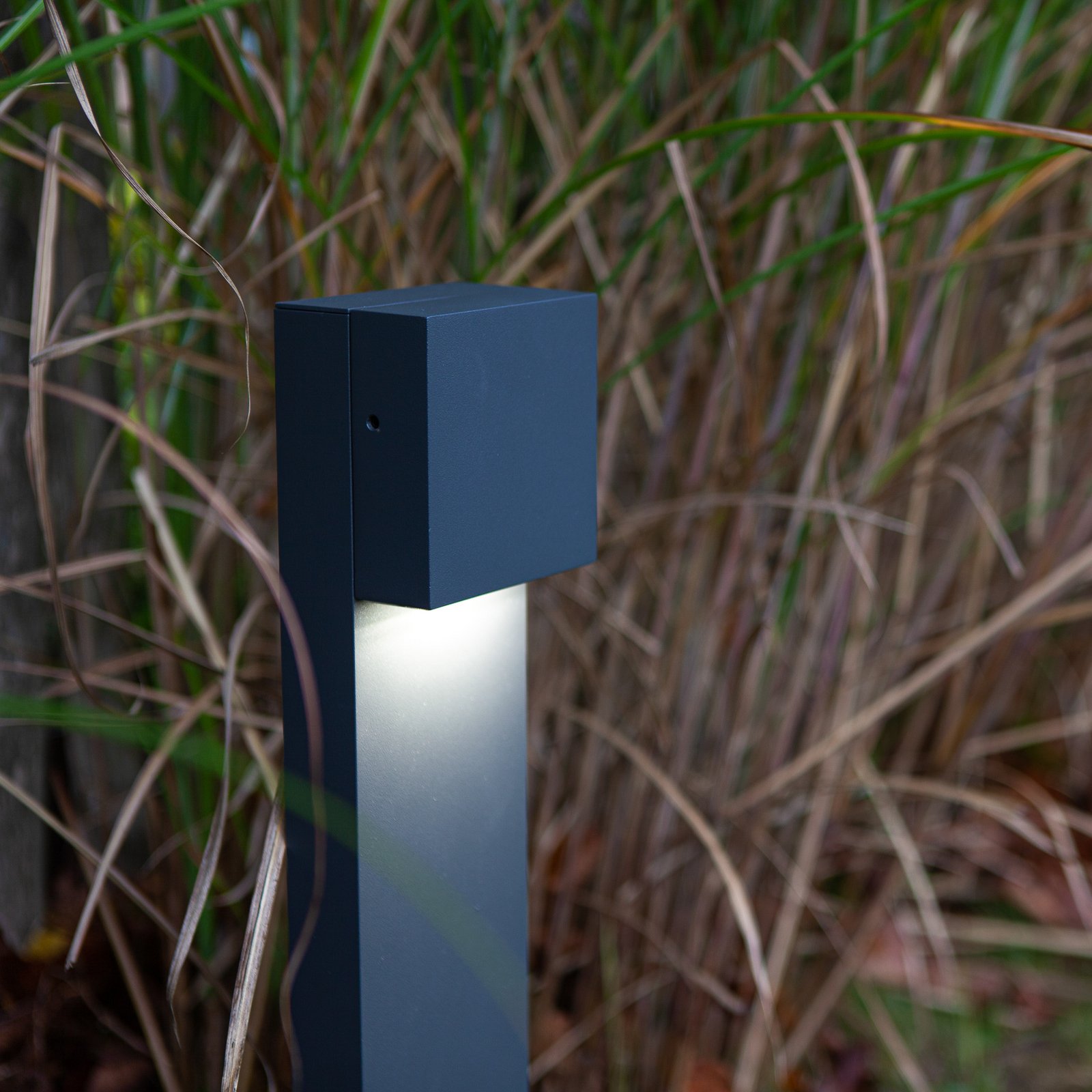 LED-Wegeleuchte Gemini FX, IP54, anthrazit