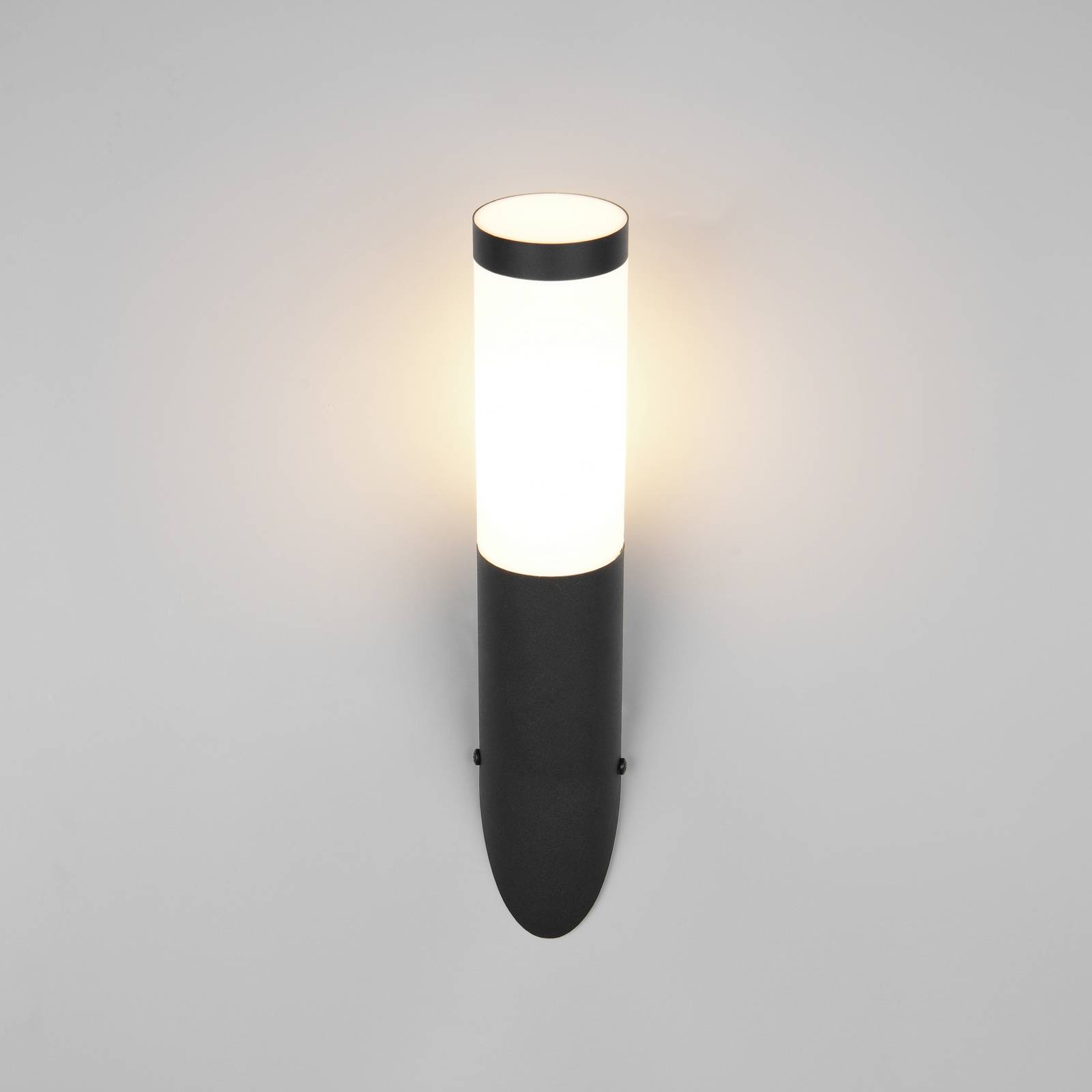 Trio Lighting Buitenwandlamp Trioto, matzwart, hoogte 39 cm, roestvrij staal