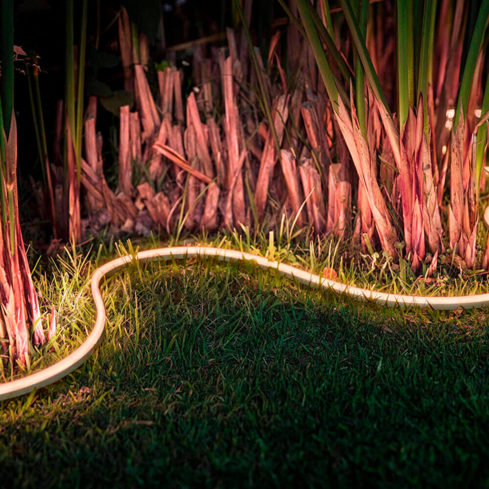 Hue Outdoor Lightstrip 5m White/Color Amb. - Philips Hue