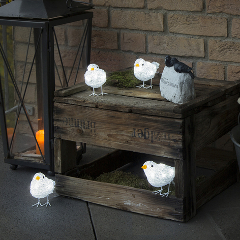 Niedliche Außen-Deko LED Vogelquintett