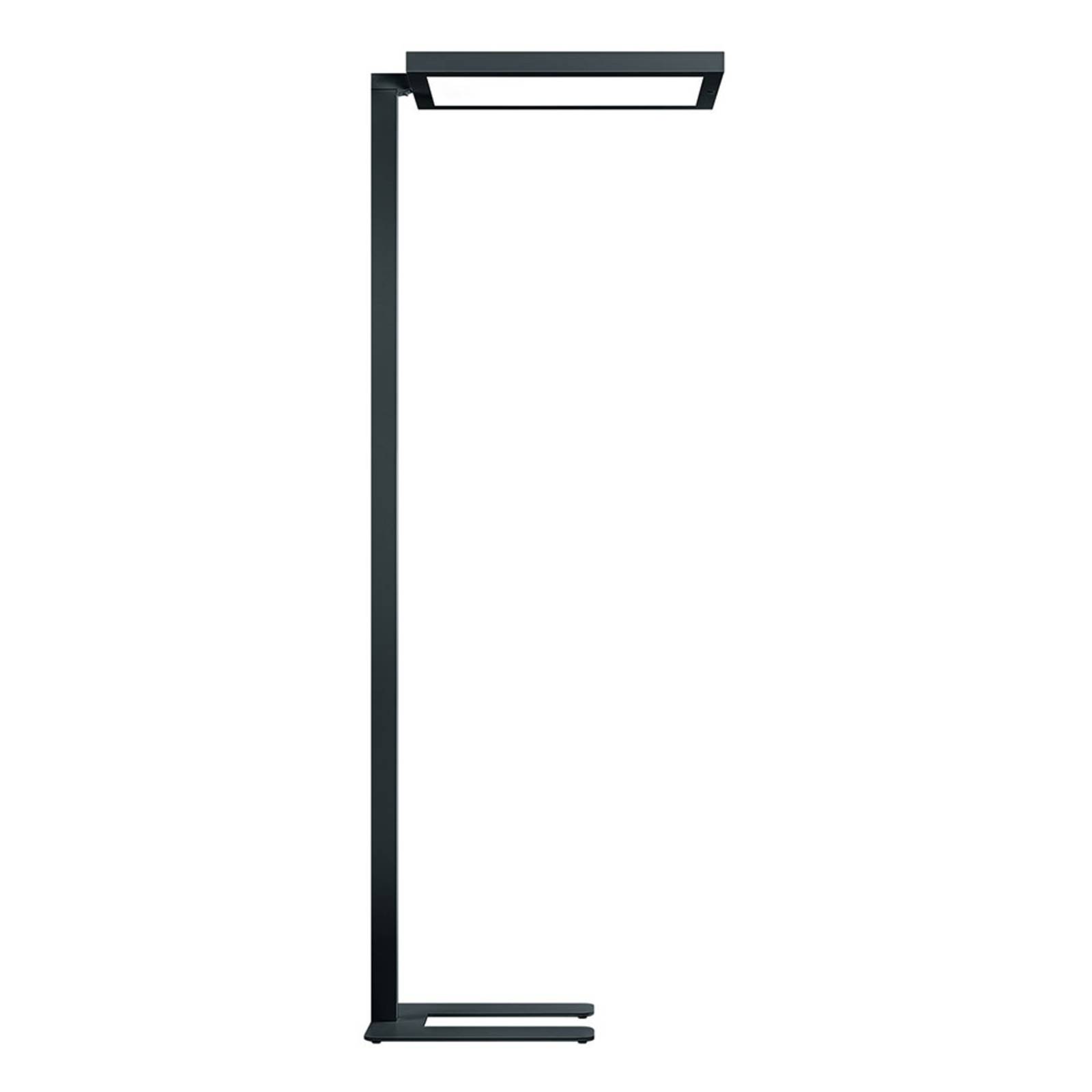 Zumtobel Epuria Stehlampe SensControl 940 schwarz