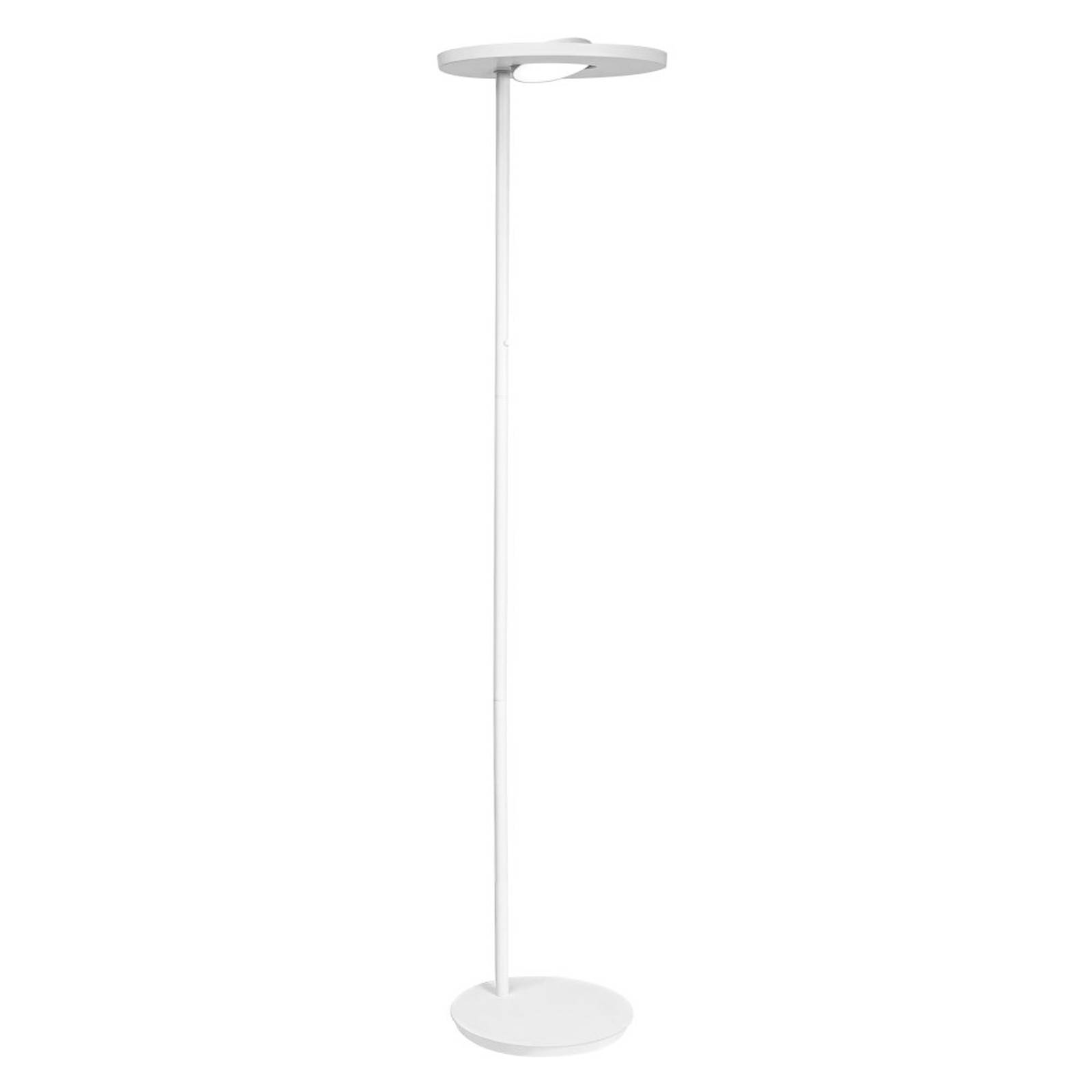 LEDVANCE SUN@Home Panan Floor lampadaire LED