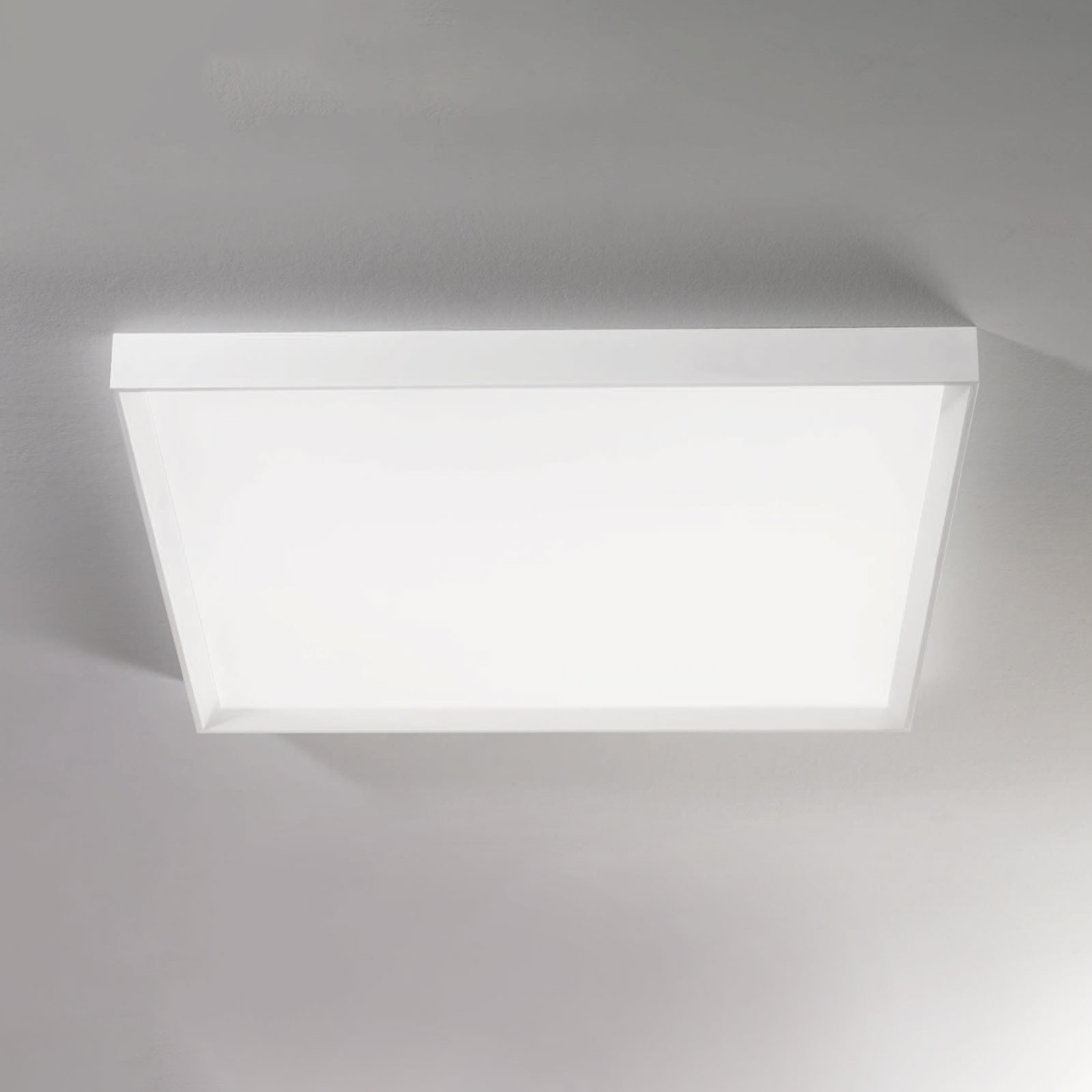 Linea Light Plafonieră LED Tara maxi 74 cm x 74 cm - Camera de zi / sufragerie - modern - alb - Metal