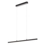 Lento LED Suspension Dim. Noir - Paulmann