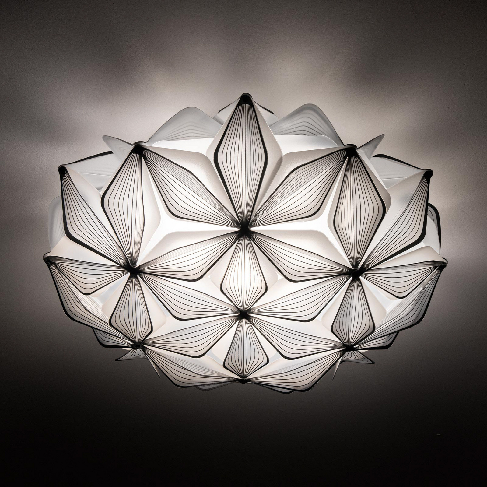 Deckenleuchte C'EST LA VIE, schwarz, Ø 47 cm, 2-flg., E27 Deckenleuchte C'EST LA VIE, schwarz, Ø 47 cm, 2-flg., E27