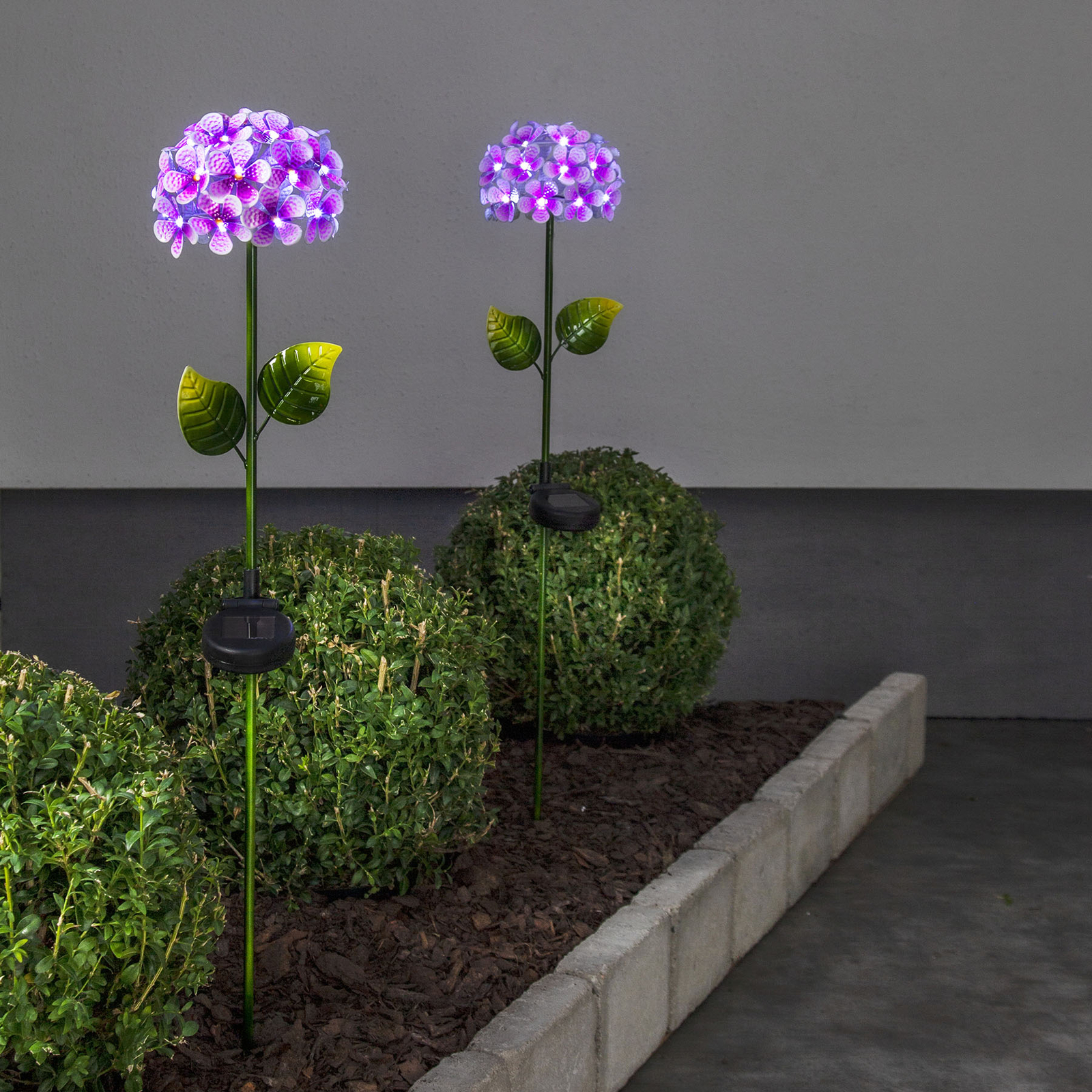 Best Season Hotensia solar light in a flower shape, magenta, metal, 0.62 W, H: 77 cm