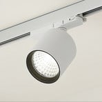 Arcchio Candra LED track spotlight, white 26.5W 4,000K