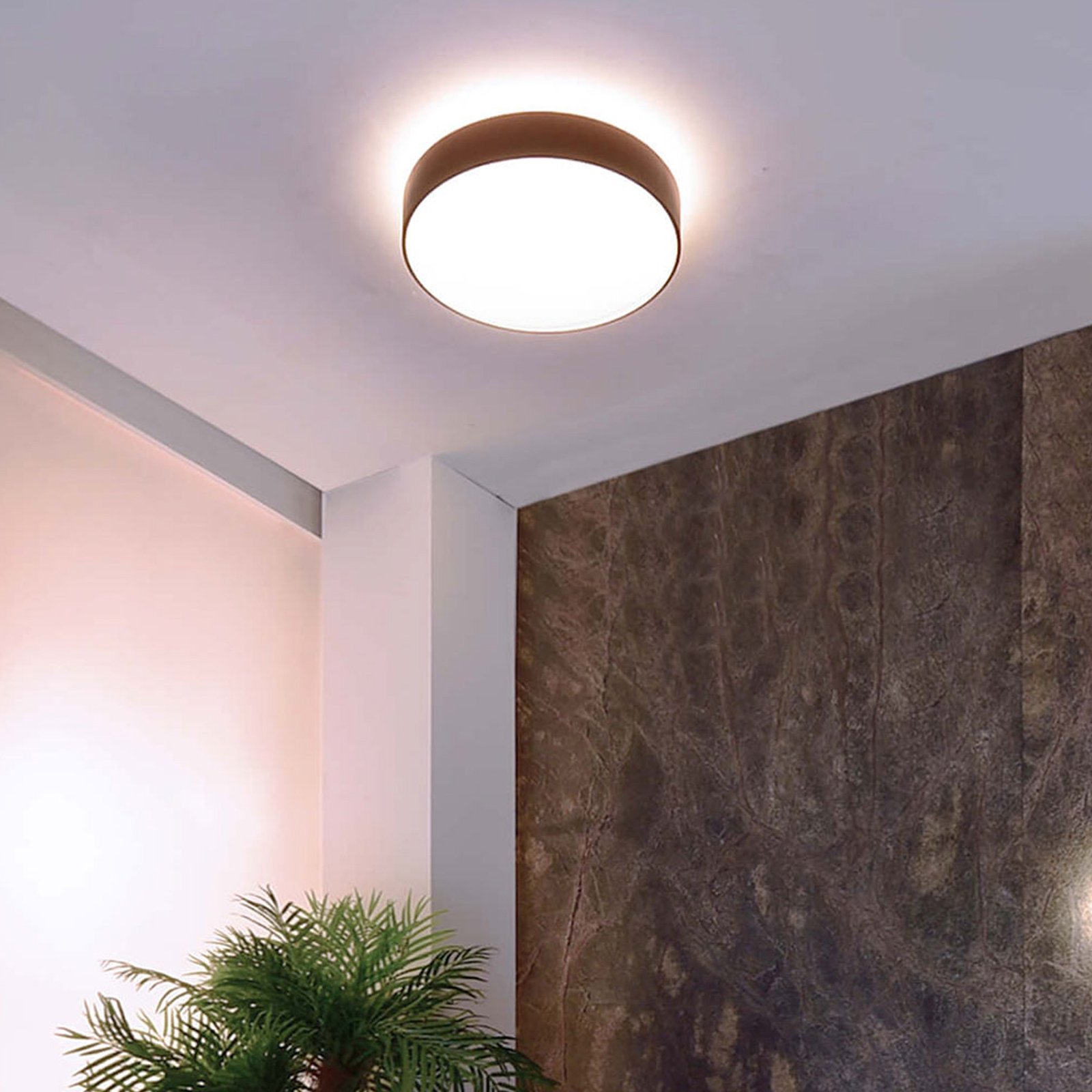 Menkar LED ceiling light, coffee brown