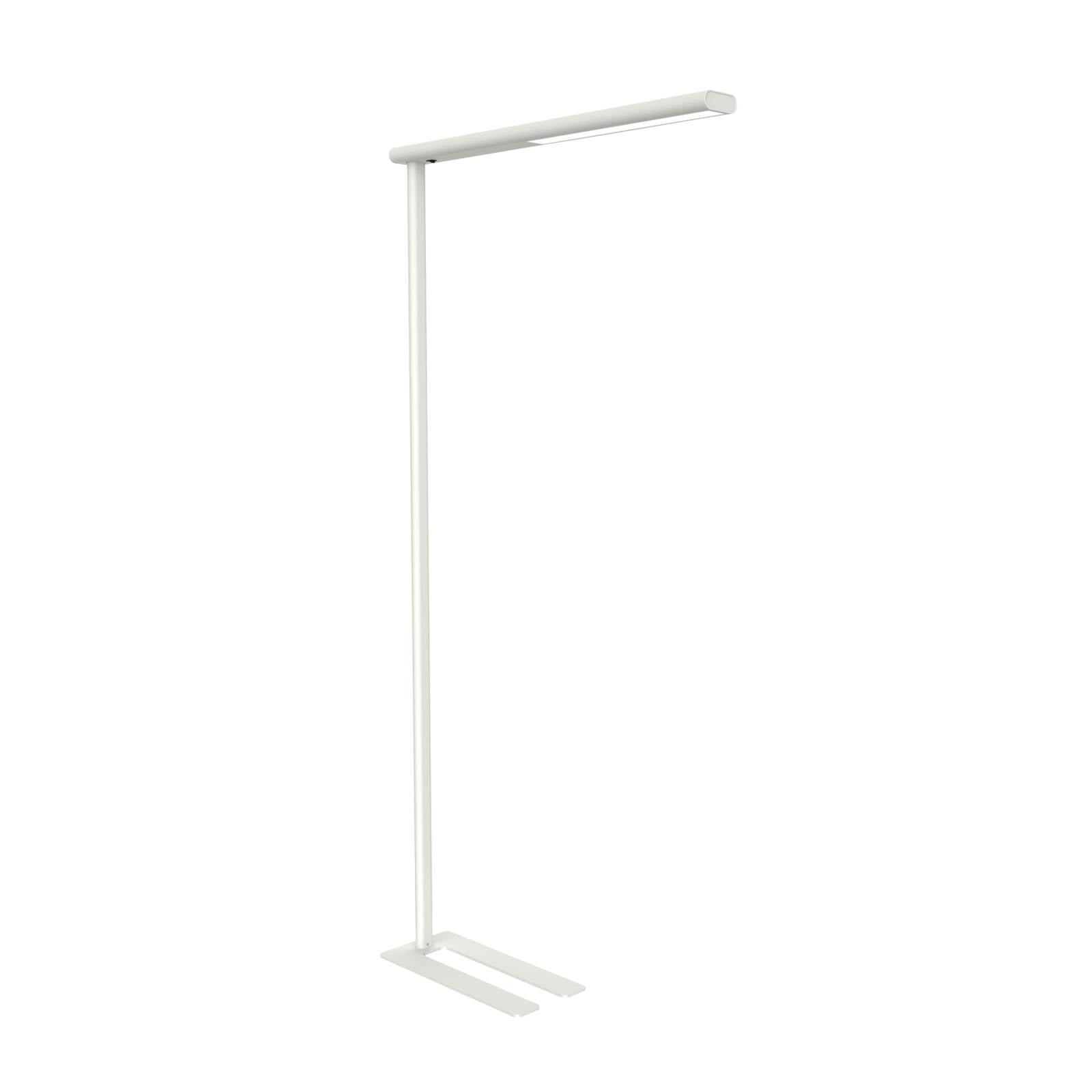 LED-Büro-Stehleuchte MAULjet, weiß, Höhe 195 cm