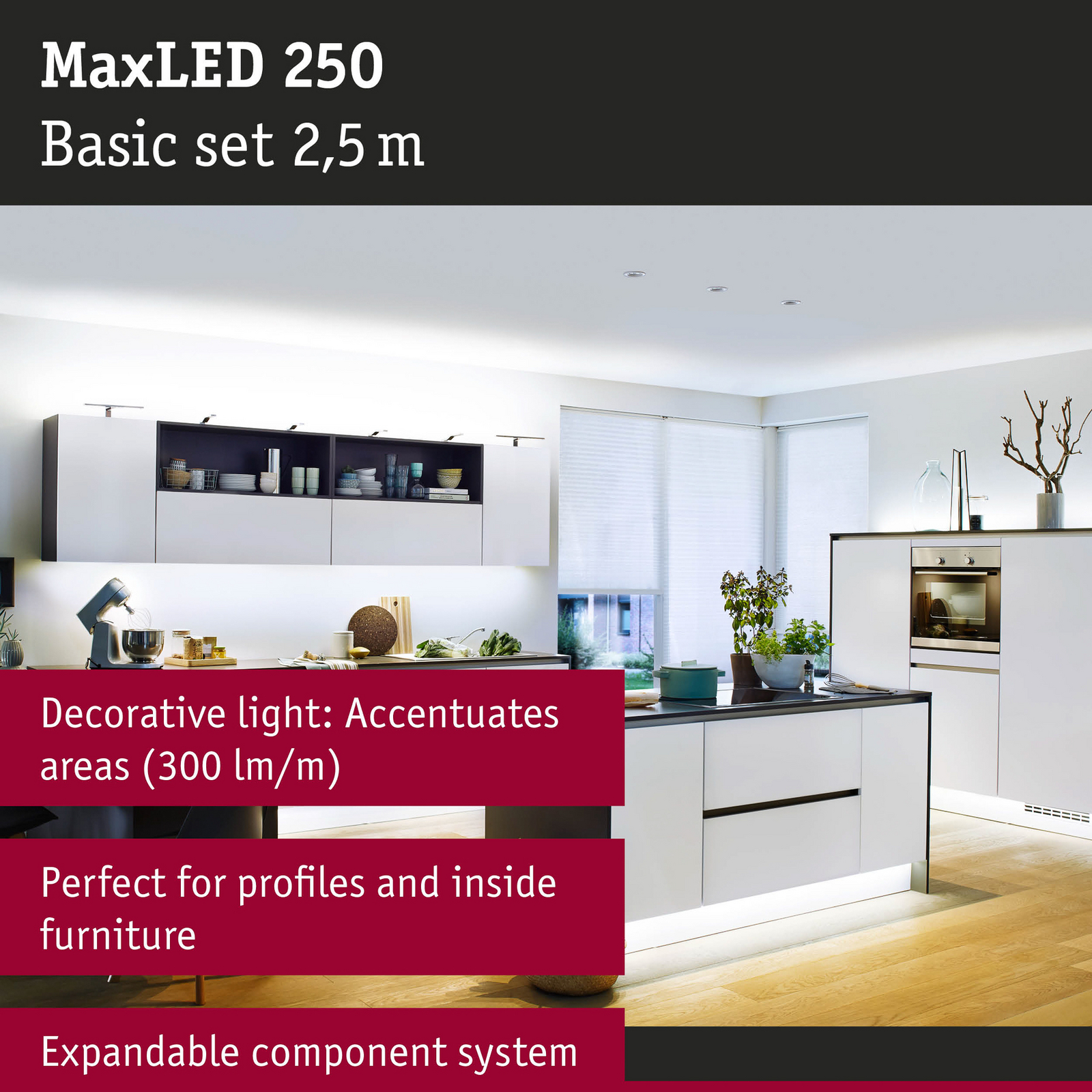 Paulmann MaxLED 250 IP20 lumière du jour 2,5 m