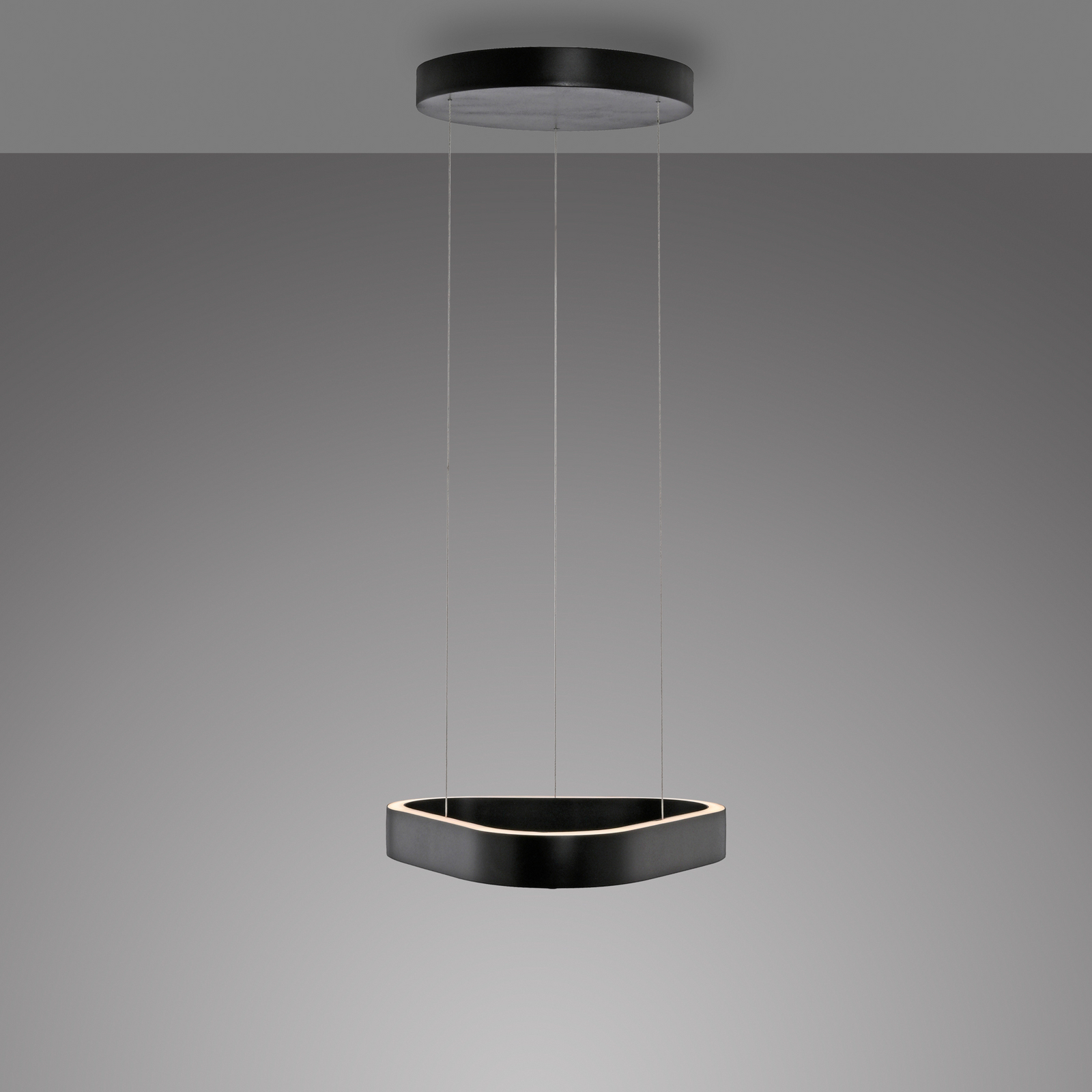 Lámpara colgante LED Q-Stretto de Paul Neuhaus, negra, 40,8 cm