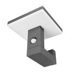 Olesia Außenwandleuchte w/Sensor Dark Grey/Opal - Lucande