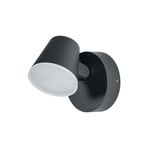 OSRAM LED-Außenwandlampe ENDURA STYLE MIDI, dunkelgrau, IP44