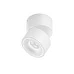 EGG DLS LED track spotlight Clippo, dimmable-to-warm, white