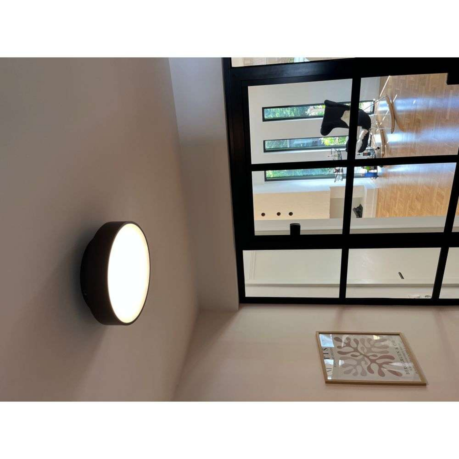 Luna C260 LED Stropní Svítidlo Uplight CCT Černá - Antidark