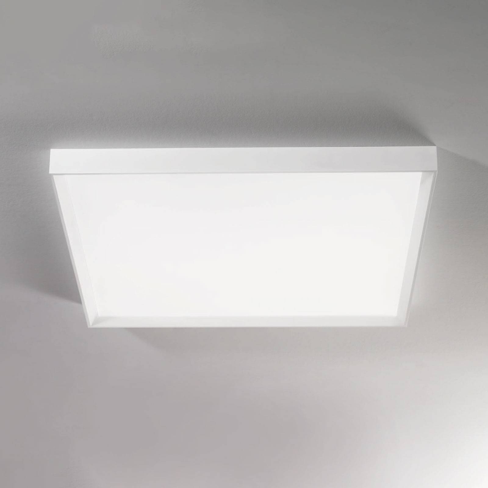 Linea Light LED-taklampa Tara maxi 74 cm x 74 cm