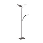 LED-Stehlampe Andy, bronze, Höhe 185 cm Metall CCT 3-flg.