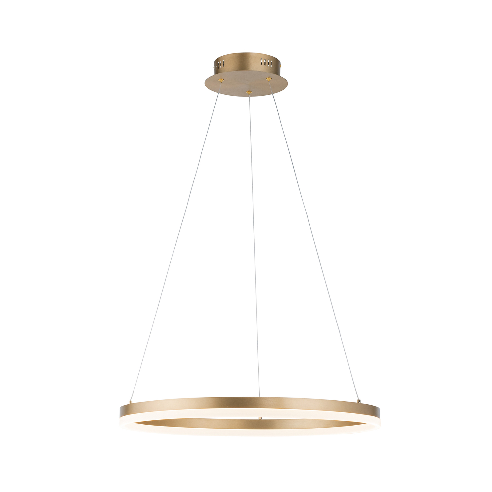Paul Neuhaus Titus LED hanging light, Ø 60 cm, metal, dimmable
