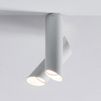 Nemo Tubes LED-Deckenleuchte zweiflammig