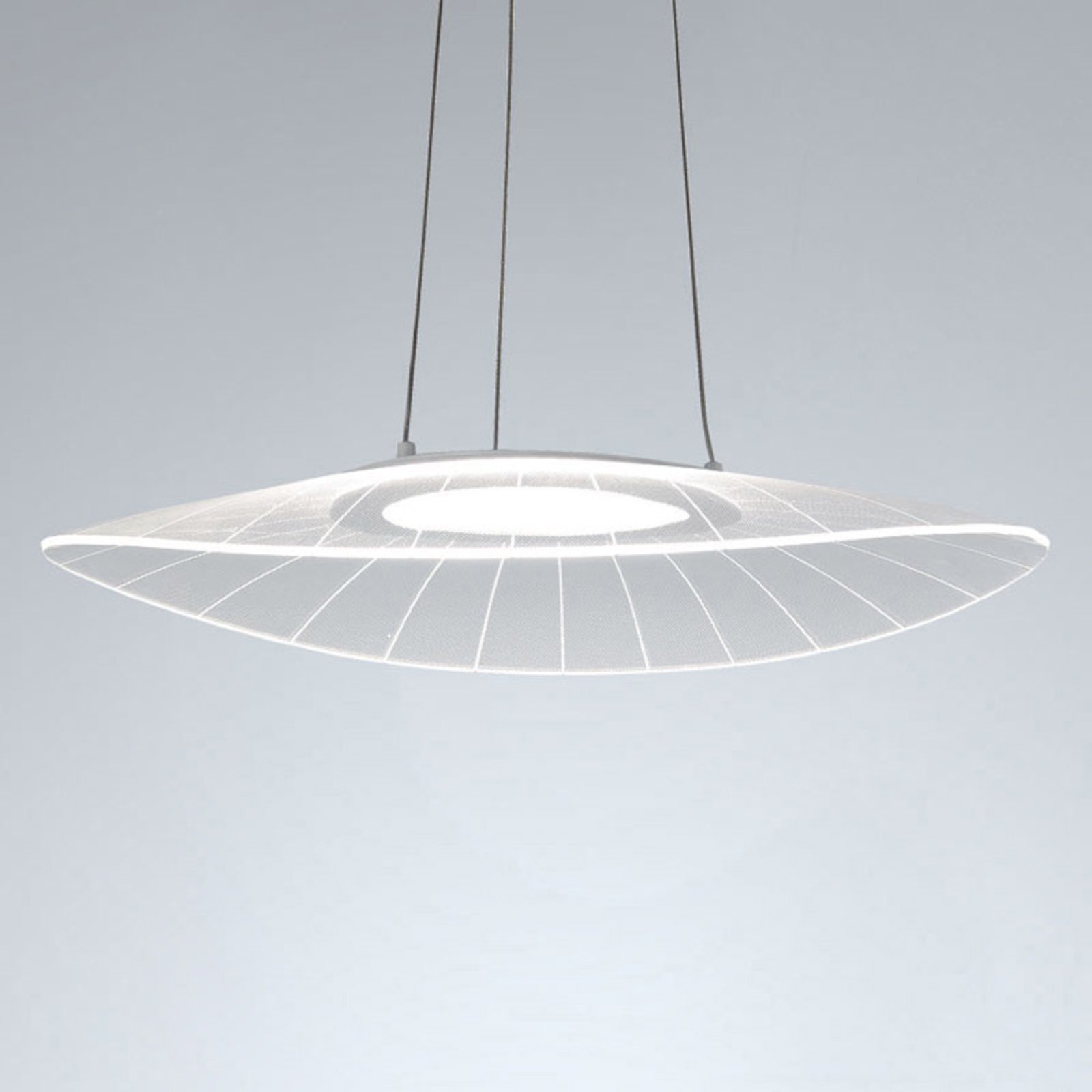 LED sospensione Vela, bianco, ovale, 59 cm x 43 cm