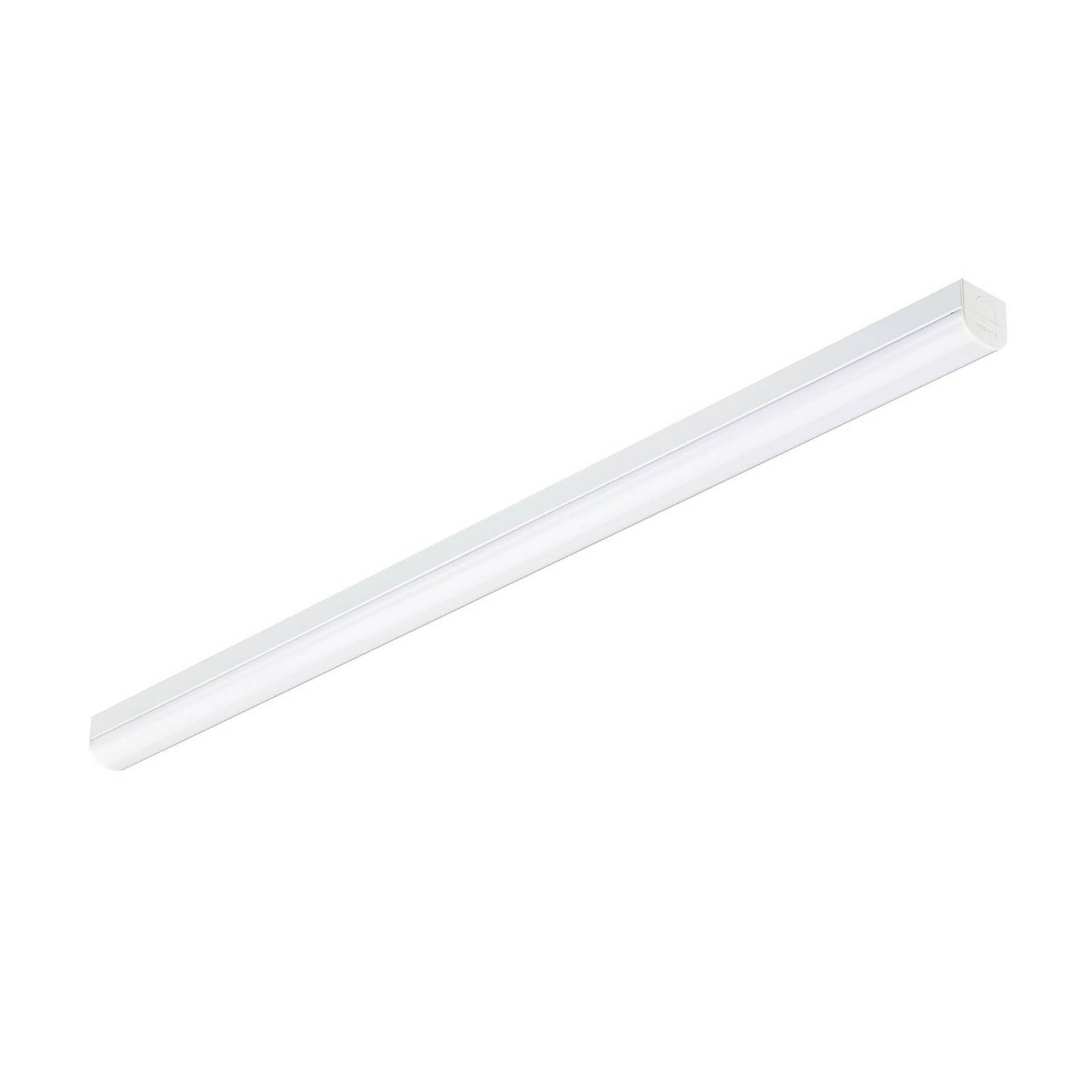 Philips Professional LED batten light BN126C LED52S/840 PSD TW1 L1500, for Hallway, steel, polycarbonate, 41 W, L: 145 cm, W: 6.5 cm, H: 6.5 cm