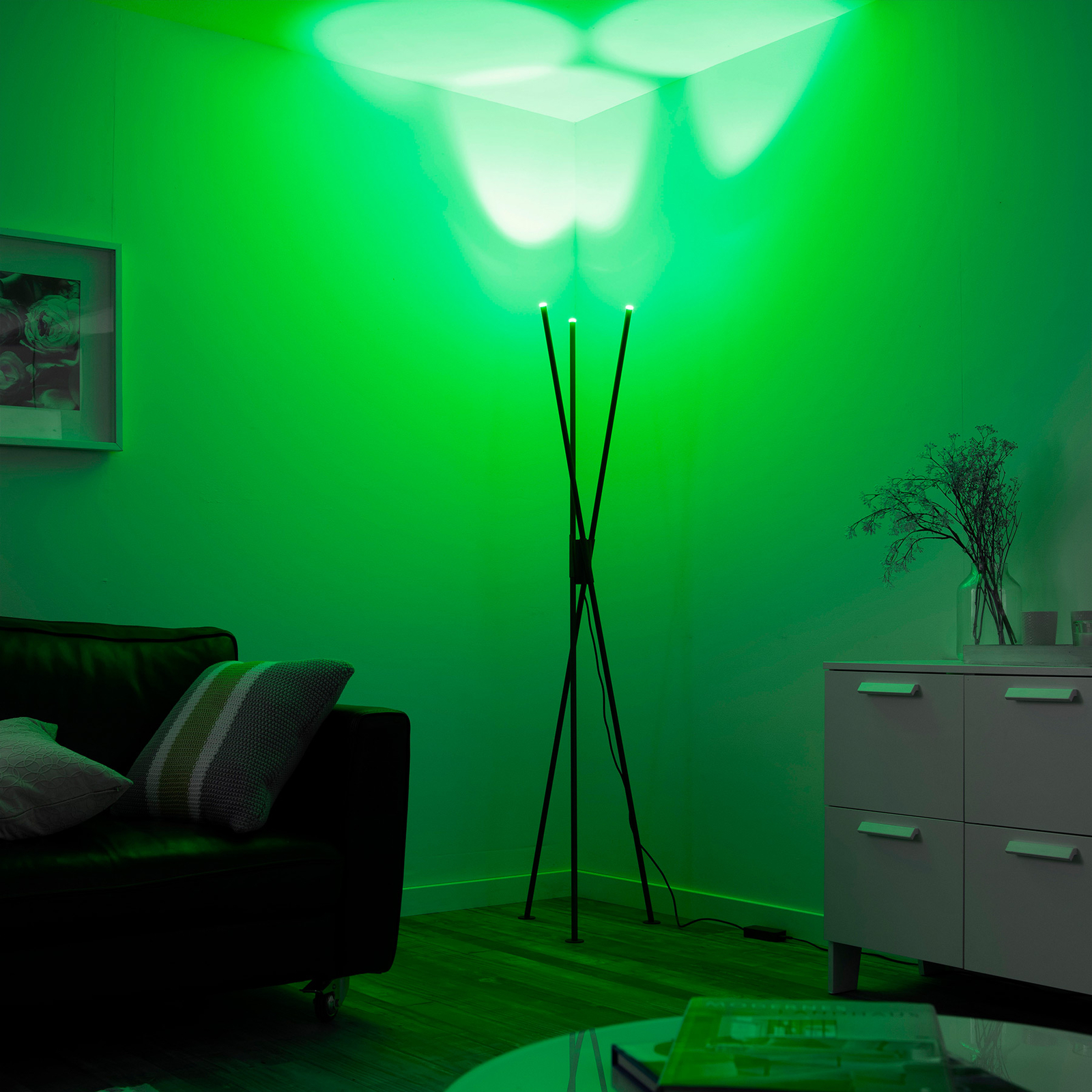 Paul Neuhaus Q-PETER LED vloerlamp, RGB/CCT