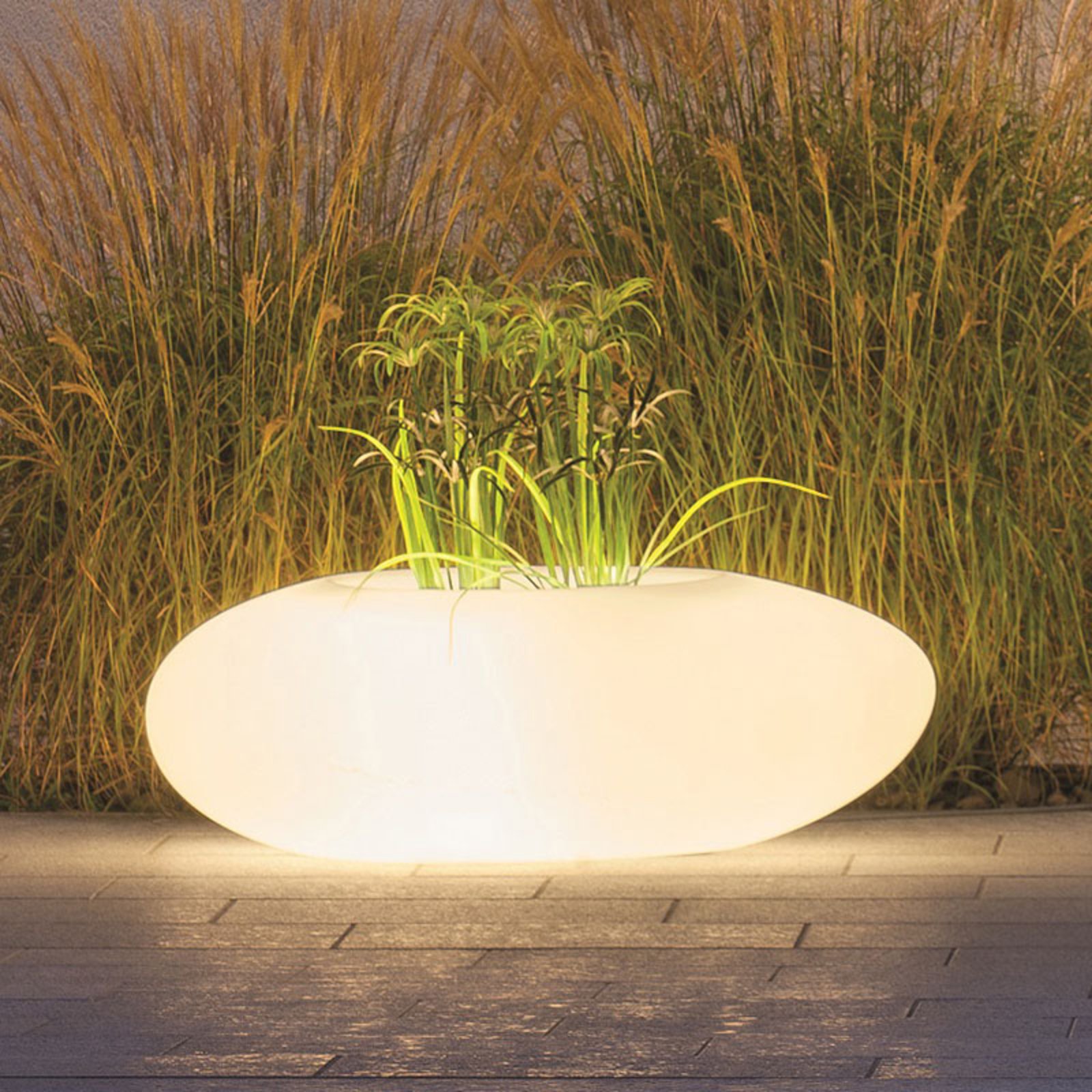 Decoratieve lamp Storus III LED RGB+CCT beplantbaar wit
