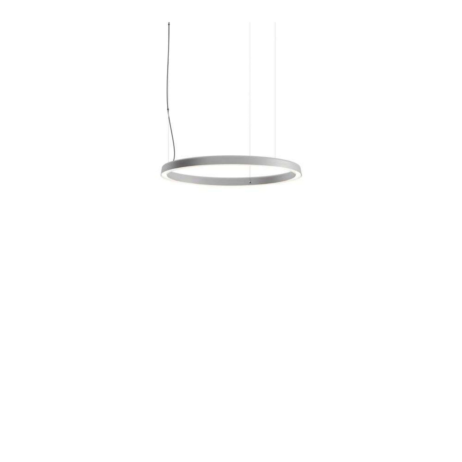 Compendium Circle LED Pendel Ø72 Alu Luceplan - Spisestue - Aluminium - Ring