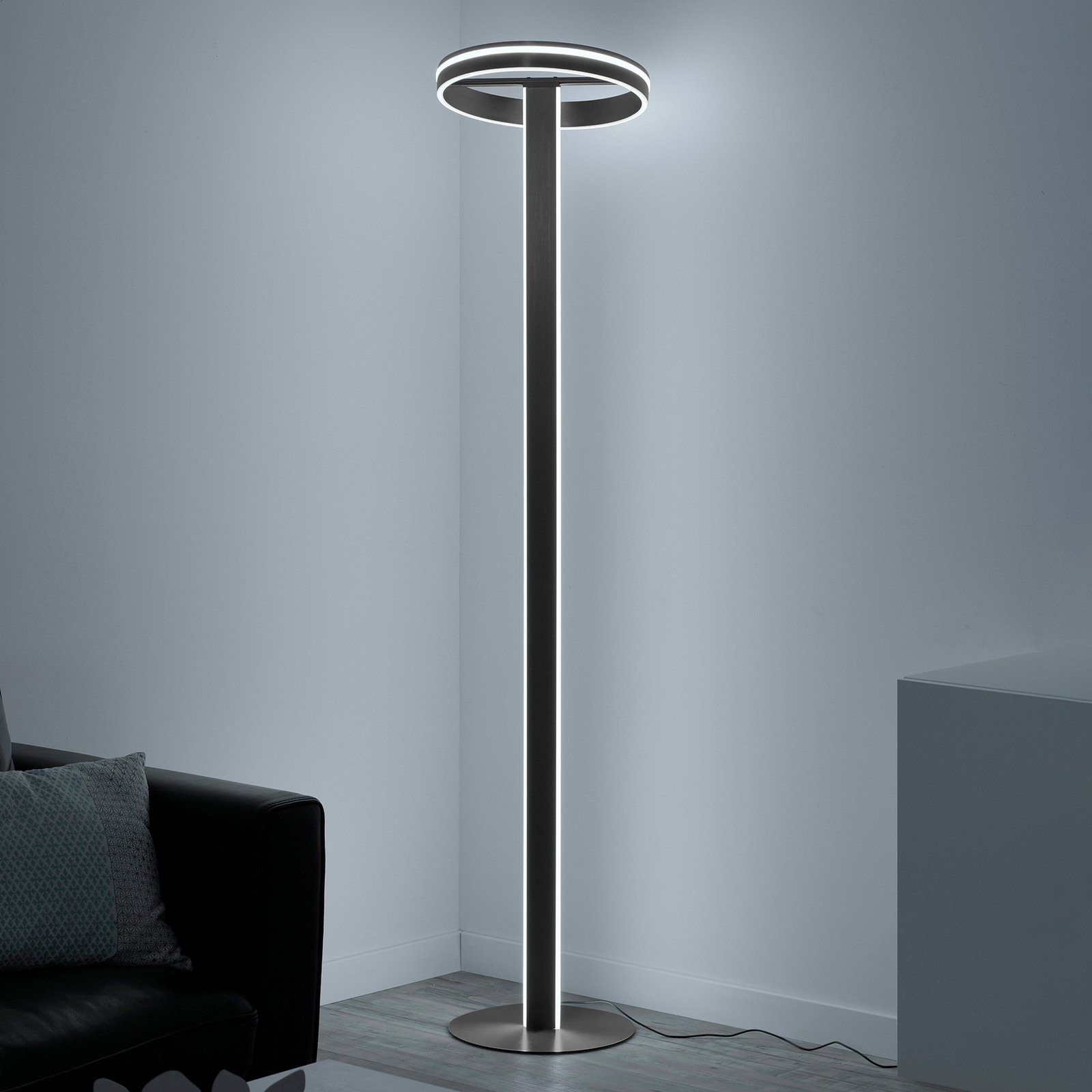 Paul Neuhaus Q-VITO LED floor lamp, anthracite
