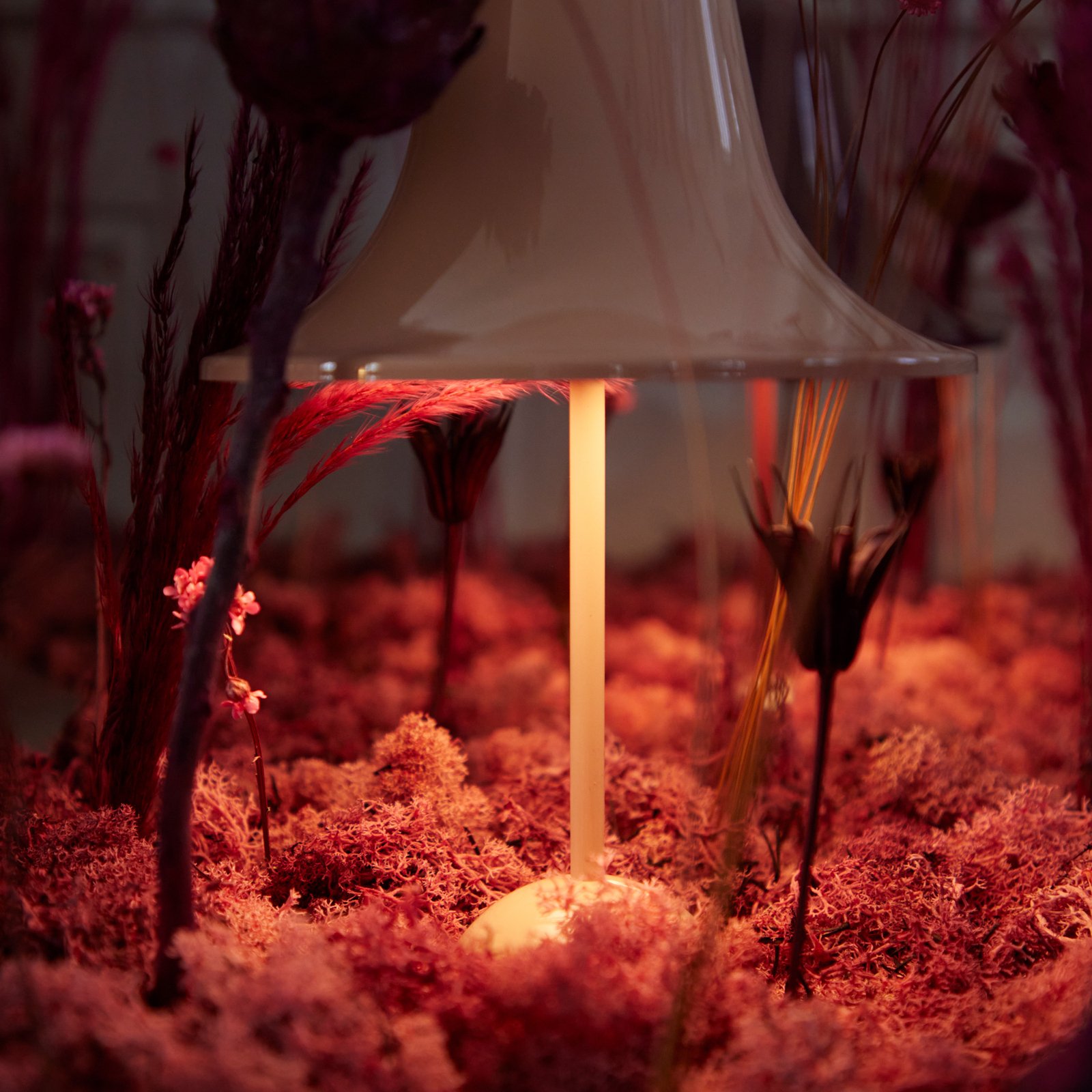 Pantop Portable Table Lamp Burgundy - Verpan