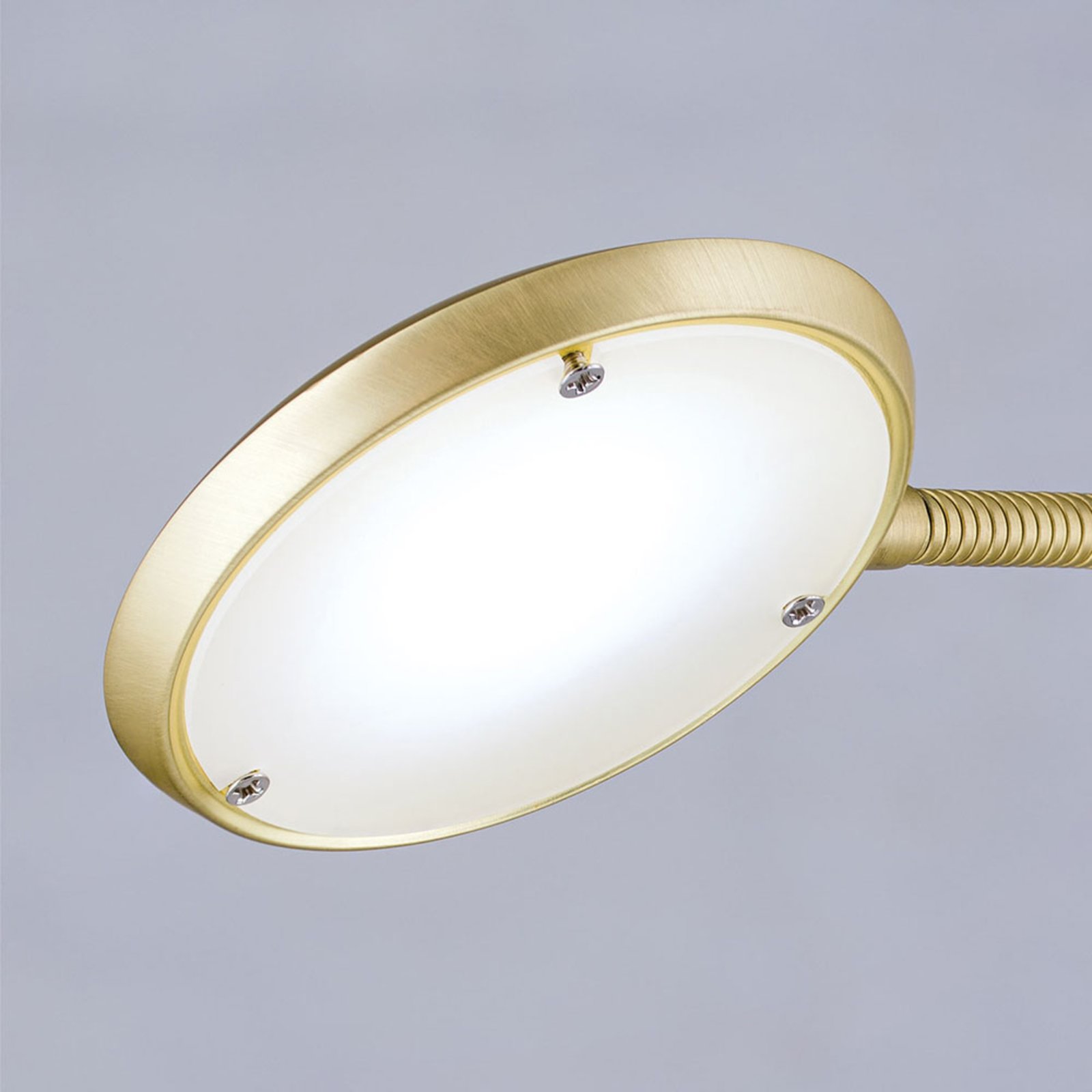 LED stojací lampa Cobra, dva zdroje, matná, mosaz