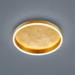 Helestra Sona LED ceiling light dim Ø 40 cm gold