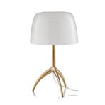 Lumiere Grande 30th Tischleuchte Golden/Bulles On/Off - Foscarini