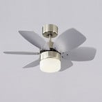 Westinghouse Floral Royal ventilateur de plafond