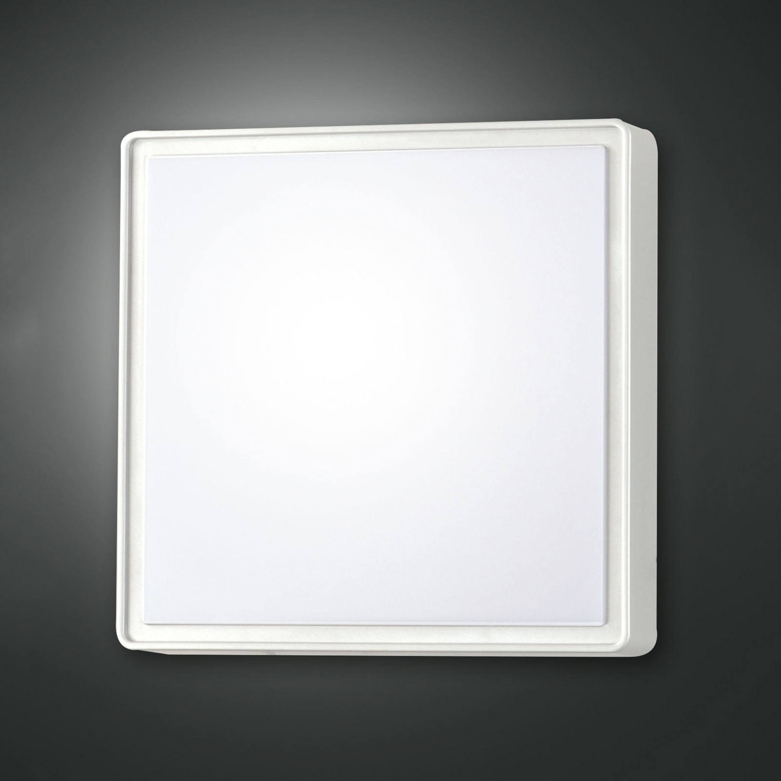 Oban LED wall light, 30 cm x 30 cm, white, IP65