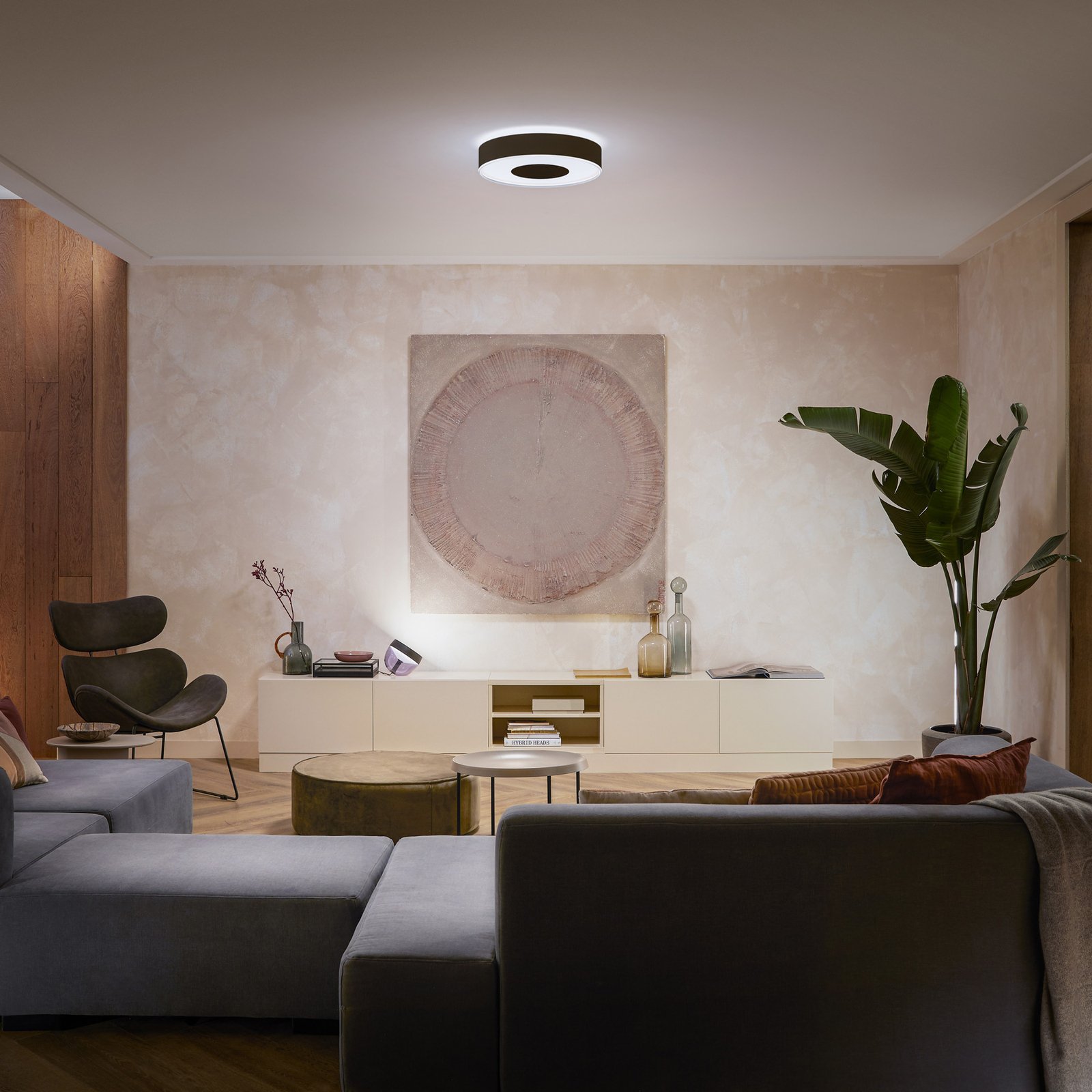 Infuse M Hue Deckenleuchte White&Color Amb. Black - Philips Hue