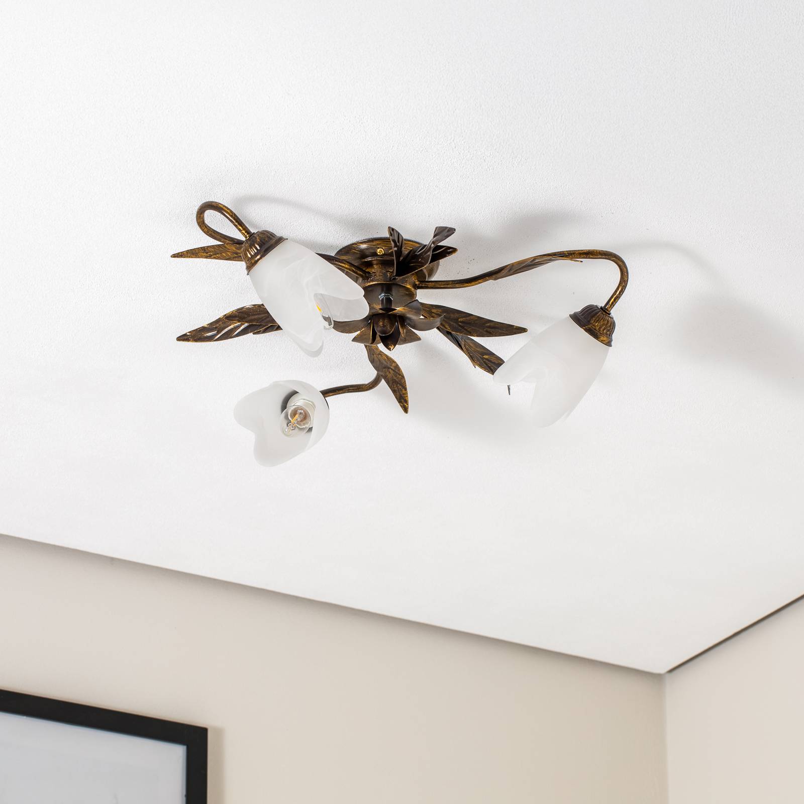 Lampa sufitowa Sonia 3-punktowa, brązowa