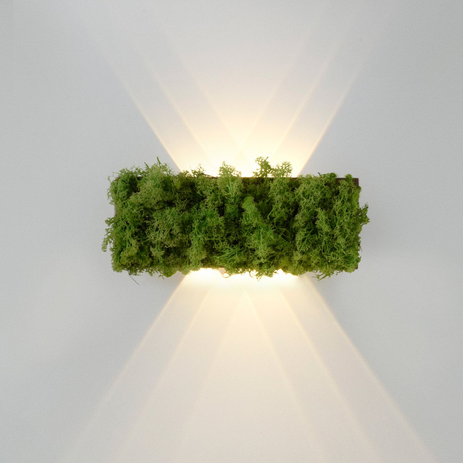 Green Carlo LED vägglampa, upp/ner, äkta mossa