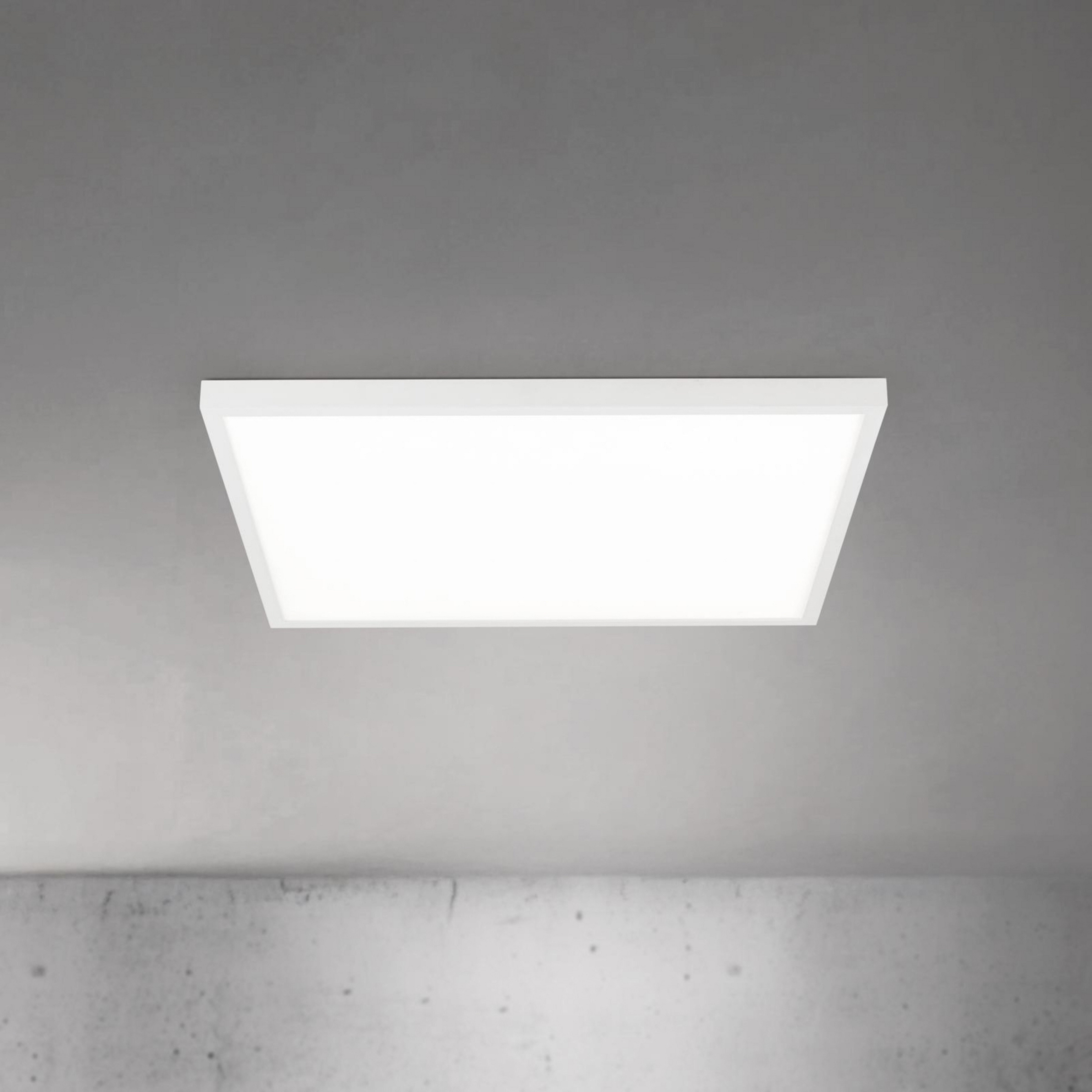 LED-Deckenlampe Disc, weiß, Länge 60 cm, CCT, Metall