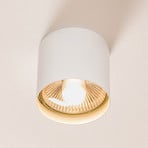 Bit S downlight de techo en forma de cilindro, blanco