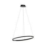 Paul Neuhaus Titus LED hanglamp, Oval 80x39cm