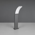 Beja LED path light, anthracite, aluminium, height 60 cm