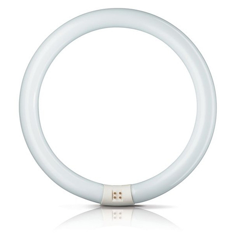 G10q Pyöreä loistelamppu Master Circular TL-E