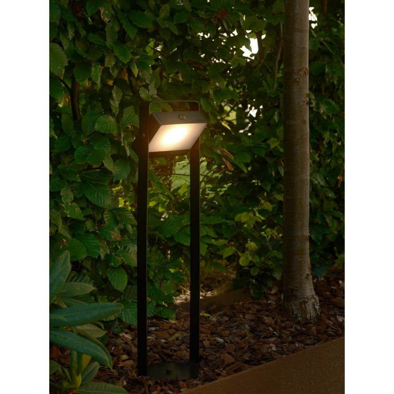 Saulio Solar Garten Leuchte IP44 Schwarz - Nordlux