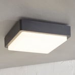 Lindby LED outdoor ceiling lamp Nermin, 22 cm, IP65, angular